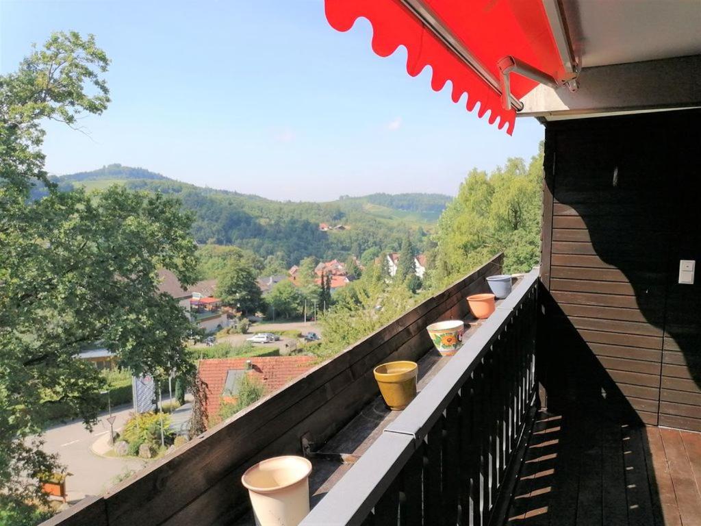 Top Ferienwohnung Mit Tiefgaragenstellplatz, Auch Fuer Laengere Aufenthalte Засбахвалден Екстериор снимка